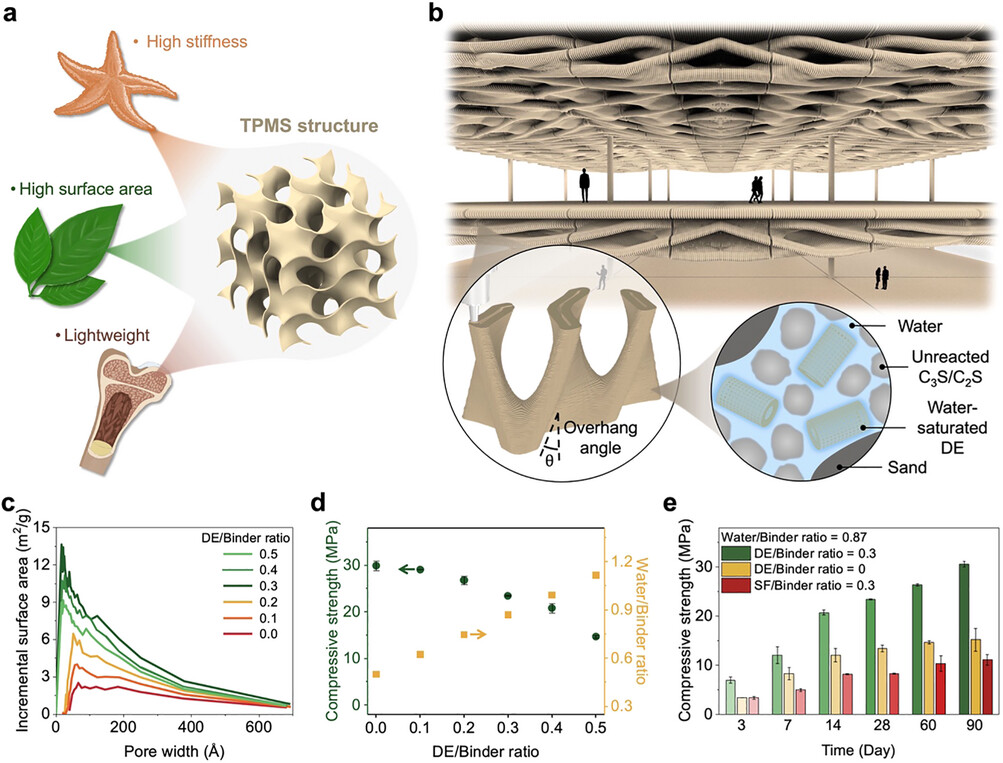 Calcestruzzo bioattivo cattura CO2